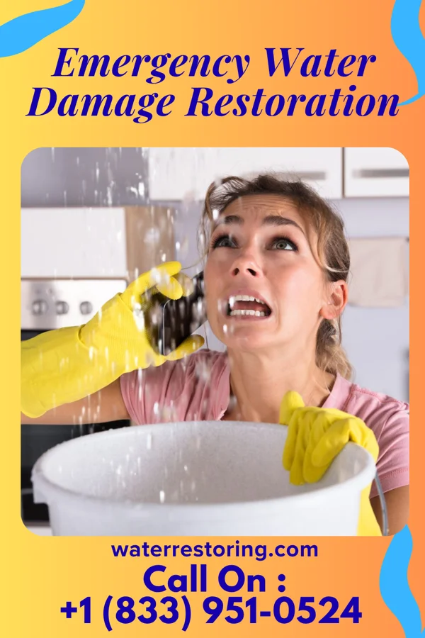 Emergency Water Damage Restoration in Centreville, IL