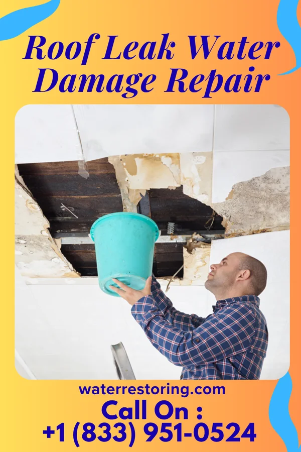 Roof Leak Water Damage Repair in Centreville, IL